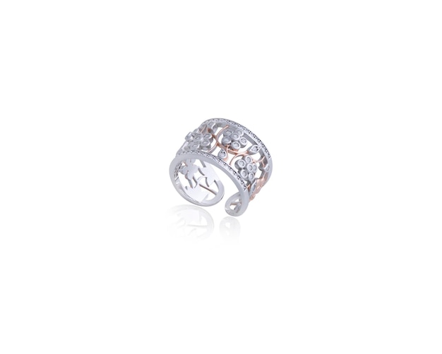 Silver Ring Jewellery on White Background