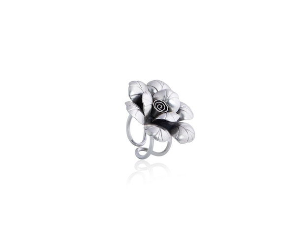 Silver Ring Jewellery on White Background