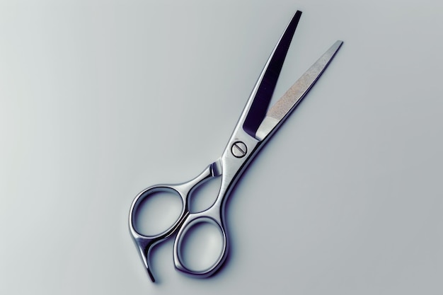 Silver Scissors Isolated On White Background