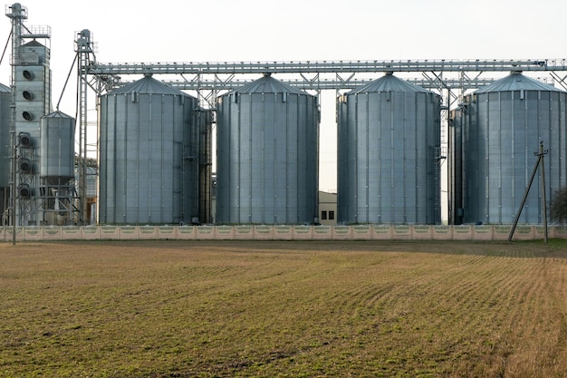 Silver silos on agro manufacturing plant for processing drying cleaning and storage of agricultural products flour cereals and grain Large iron barrels of grain Granary elevator