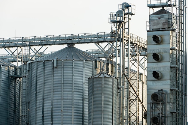 Silver silos on agro manufacturing plant for processing drying cleaning and storage of agricultural products flour cereals and grain Large iron barrels of grain Granary elevator