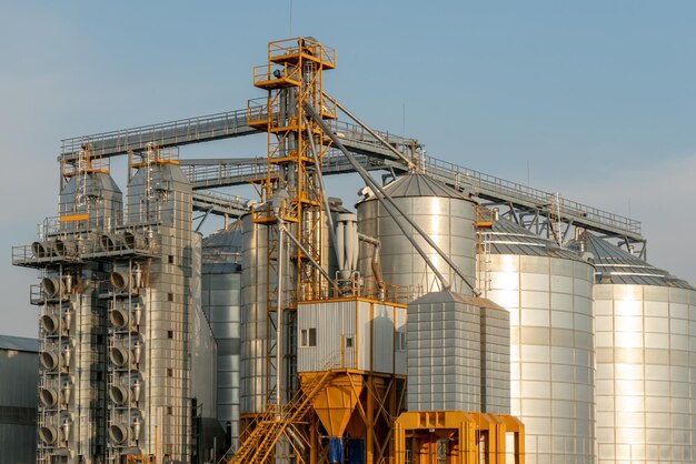 Silver silos on agro manufacturing plant for processing drying cleaning and storage of agricultural products flour cereals and grain Large iron barrels of grain Granary elevator