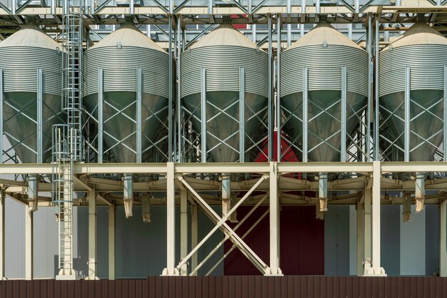 Silver silos on agro manufacturing plant for processing drying cleaning and storage of agricultural products flour cereals and grain Large iron barrels of grain Granary elevator