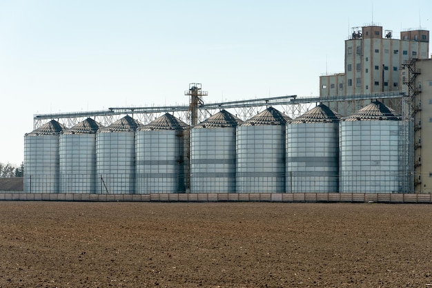 Silver silos on agro manufacturing plant for processing drying cleaning and storage of agricultural products flour cereals and grain Large iron barrels of grain Granary elevator