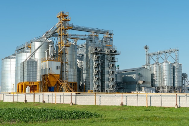 Silver silos on agro manufacturing plant for processing drying cleaning and storage of agricultural products flour cereals and grain Large iron barrels of grain Granary elevator