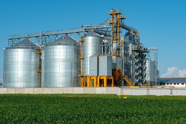 Silver silos on agro manufacturing plant for processing drying cleaning and storage of agricultural products flour cereals and grain Large iron barrels of grain Granary elevator