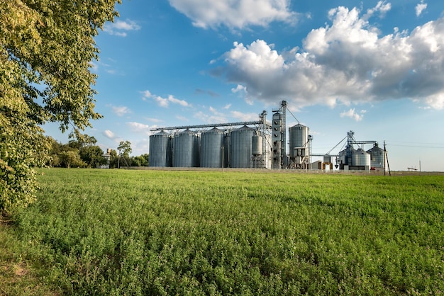 Silver silos on agro manufacturing plant for processing drying cleaning and storage of agricultural products flour cereals and grain with beautiful clouds