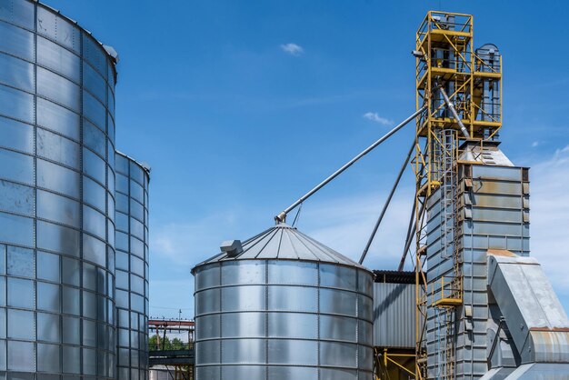 Silver silos on agroprocessing and manufacturing plant for processing drying cleaning and storage of agricultural products flour cereals and grain Granary elevator