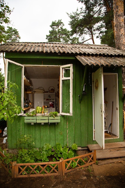 Simple cottage and well on backyard in village