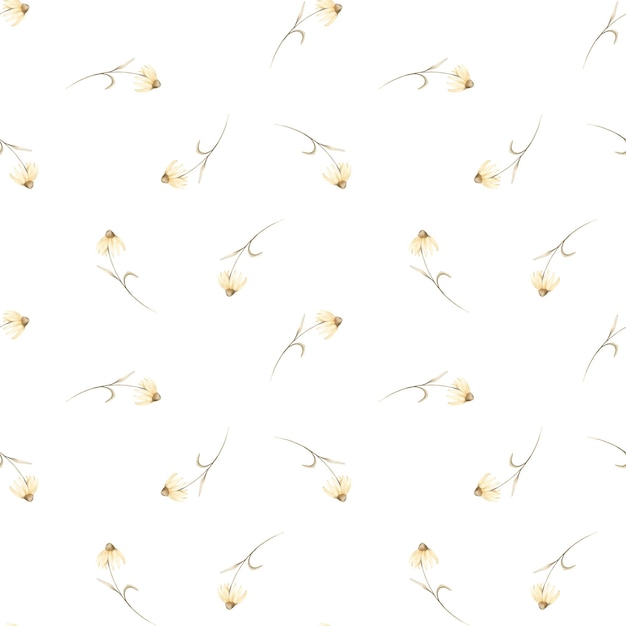 Simple delicate seamless pattern with watercolor yellow echinacea Hand drawn repeating pattern of yellow flowers on isolated white background For design textile in minimalist style