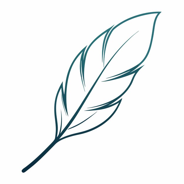 Photo simple feather using a single continuous line