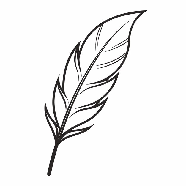 Photo simple feather using a single continuous line