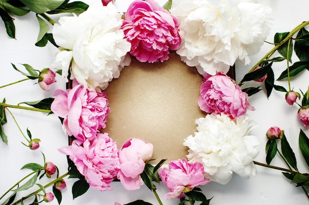 Simple flat lay flower frame of pink and white peonies spring and summer season concept