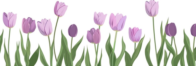 A simple minimalistic illustration of purple tulips with green foliage on a white background