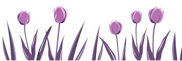 A simple minimalistic illustration of purple tulips with green foliage on a white background