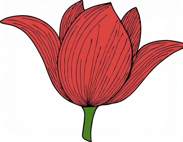 Simple Nature Inspired Red Tulip Closeup Illustration