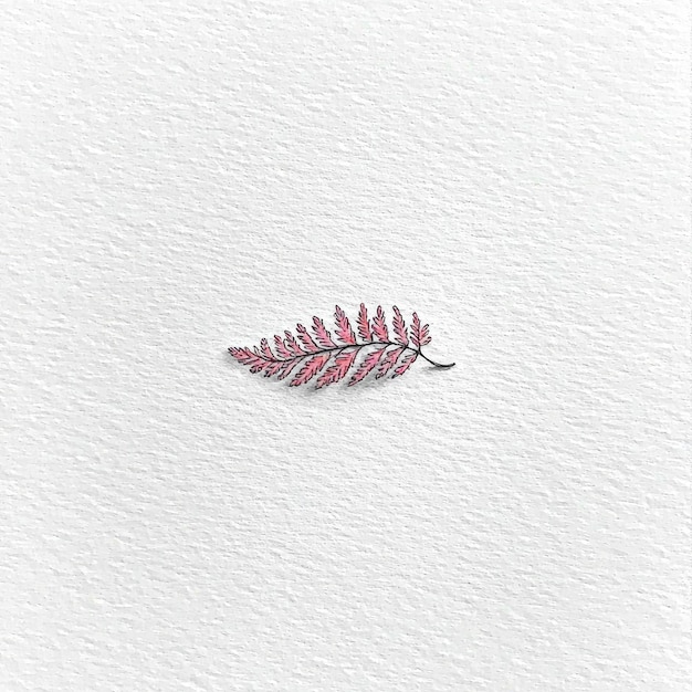 Photo simple pink fern illustration on white background