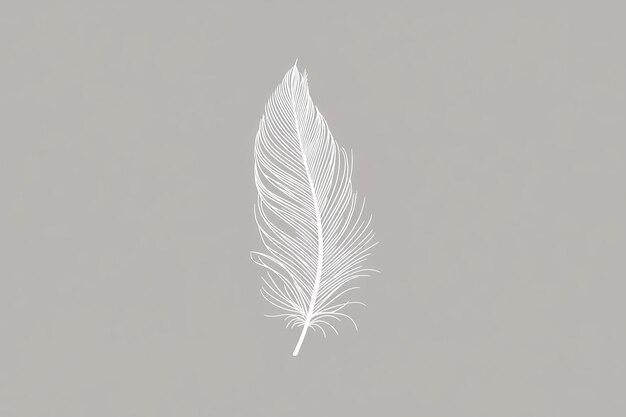 A simple white line drawing of a delicate feather floating gently in the air The minimalist design