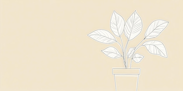 Photo a simple white line drawing of a houseplant in a pot with leaves and stems outlined in clean