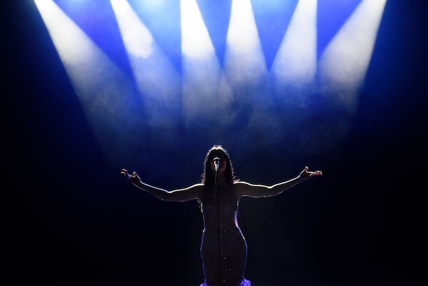 Singer performing on stage with lights. View from the auditorium