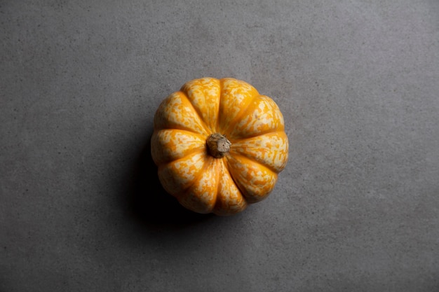 A single autumnal pumpkin on a dark concrete background