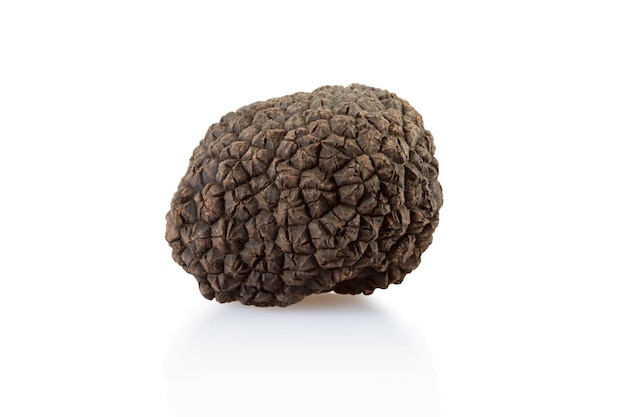 Photo single black truffle isolated on white clipping path included