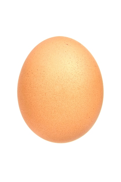 Single brown chicken egg isolated on white