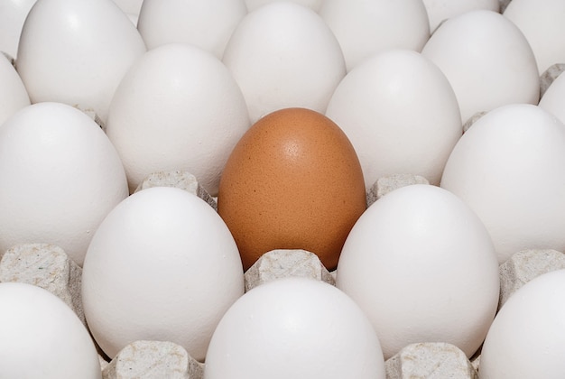 Single brown egg among white eggs close up