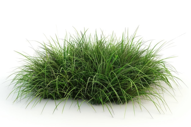 A single bush of green grass on a white surface suitable for use in interior design or decoration projects