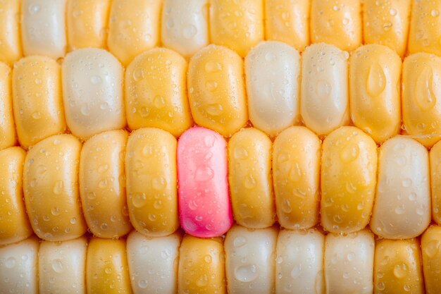 Single closeup ear of corn with one pink seed Background pattern