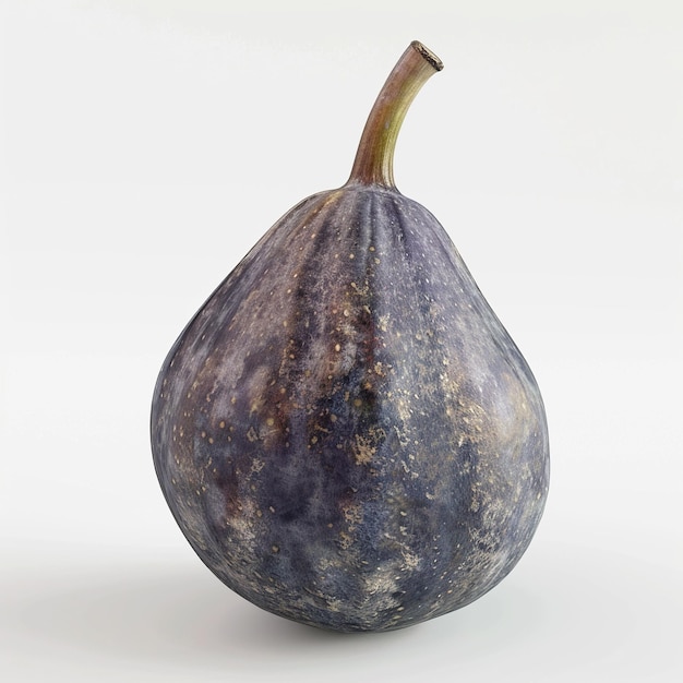 Single Detailed Fresh Fig On White Background