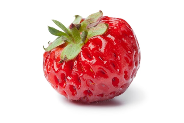 Single fresh ripe strasberry