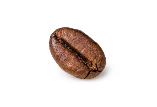 Single fresh roasted dark brown arabica coffee bean