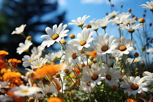 Single full of daisies in full flowering generative IA