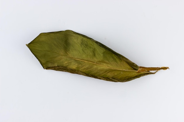 A single leaf of a houseflower on a white background Isolate Dried leaves of dieffenbachia