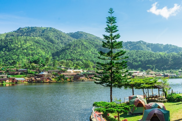 Single pine tree and village beside the lake in the sunshine day.