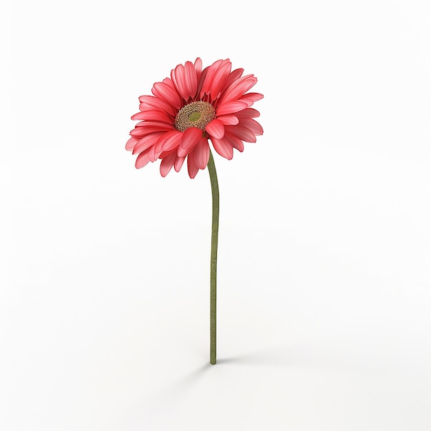 a single red flower is standing in a white background