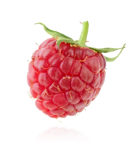 Single red raspberry isolated on white background