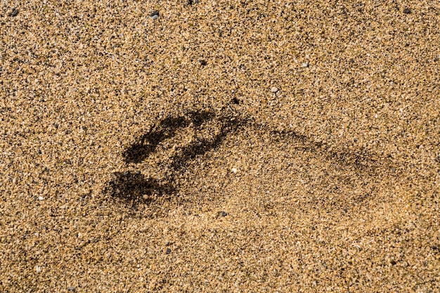 Single right foot print in sand