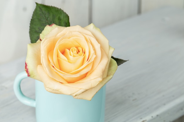 Single rose flower in mug on table