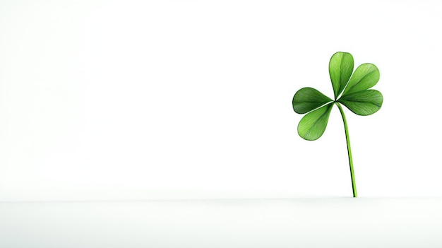 Photo a single shamrock leaf on a white background