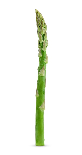 Single stem of green asparagus isolated with clipping path