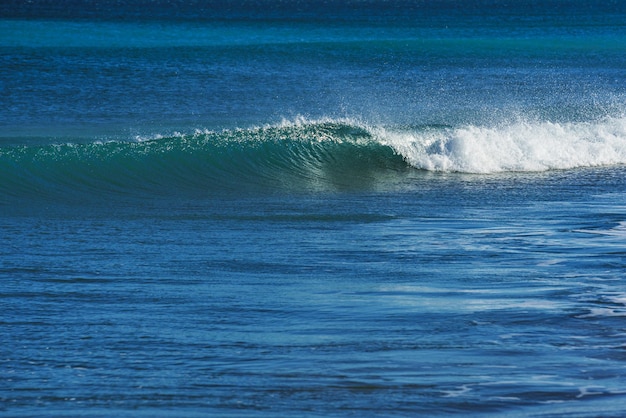 Single wave curls in calm water on the sea