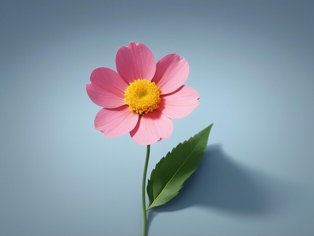 Photo single white anemone flower with yellow center