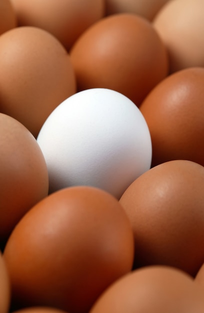 Single white egg among brown eggs