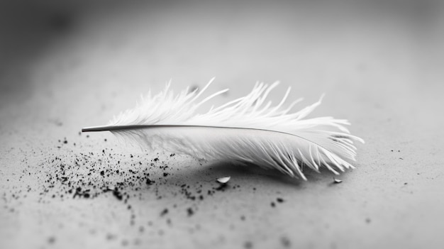 Photo a single white feather resting on a grey surface