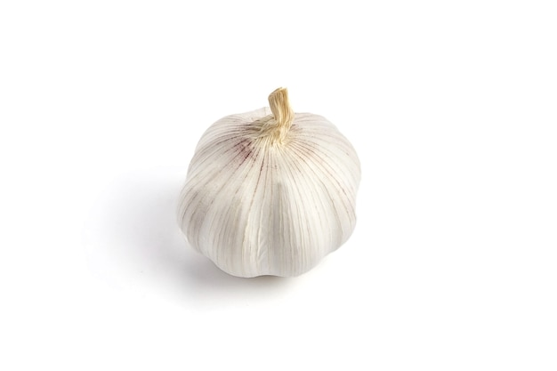 Single whole garlic isolated on white background