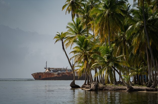 Sink wrecked, rusty ship lie down in the sea near tropical island with palm tree. Concept of adventure and travel .