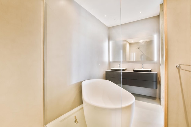 Sinks and bathtub near shower cabin