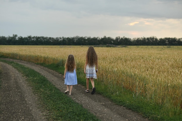 Sisters in the wheat field at a sunset